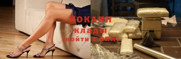 крисы Абаза