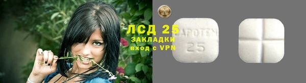 ECSTASY Лабытнанги