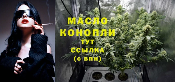 крисы Абаза