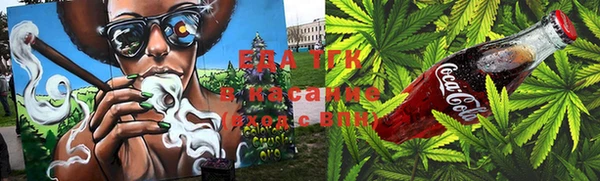 крисы Абаза