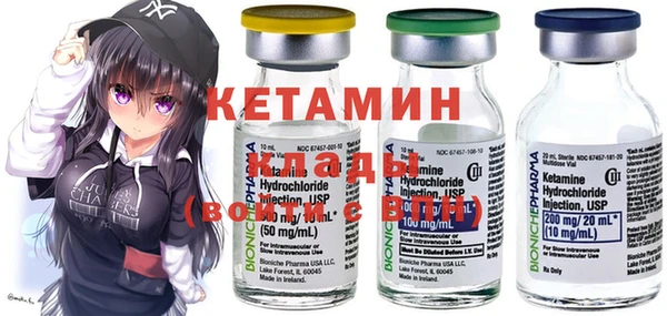 крисы Абаза