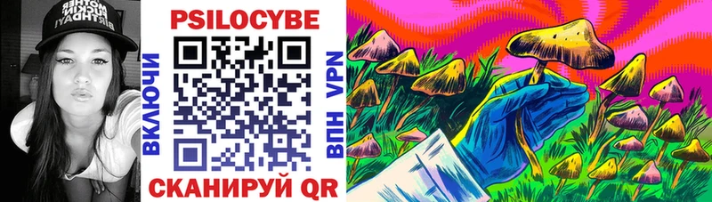 Галлюциногенные грибы Psilocybe  купить   Приволжский 